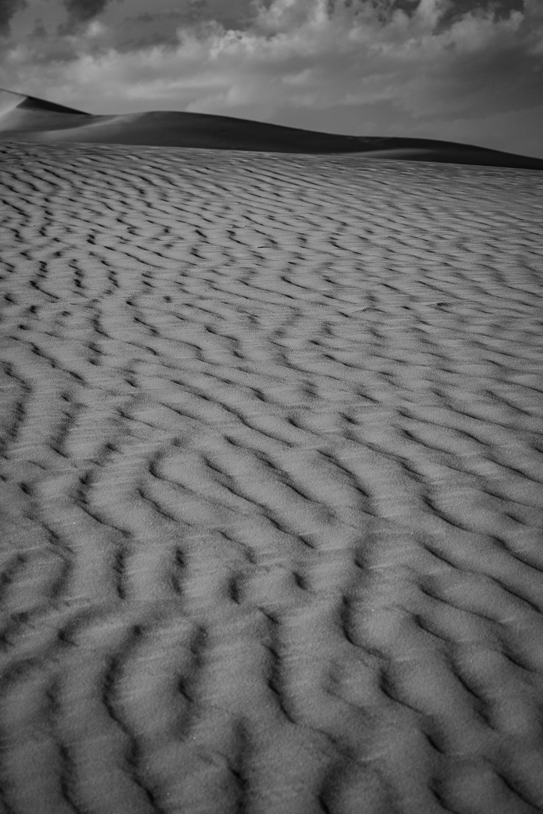 Human & Nature  outoftime 125